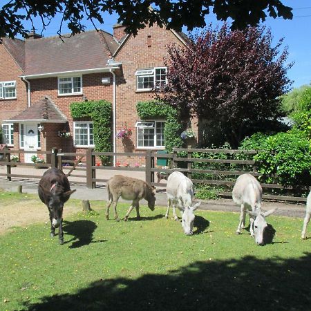 Hops Annex Villa Brockenhurst Bagian luar foto