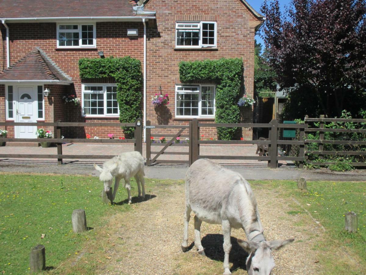 Hops Annex Villa Brockenhurst Bagian luar foto